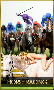 horse racing, citibet , turf club